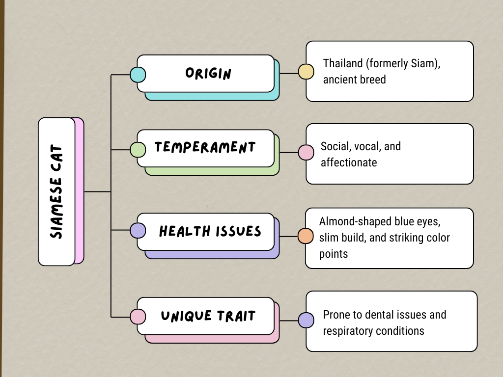Overview of Siamese cats, highlighting their sleek bodies, blue almond-shaped eyes, and distinct color-pointed fur patterns