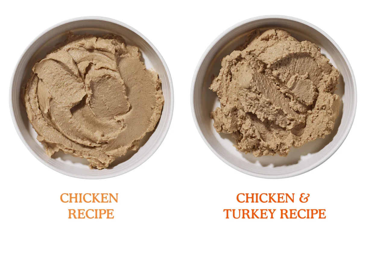 wet vs dry cat food
