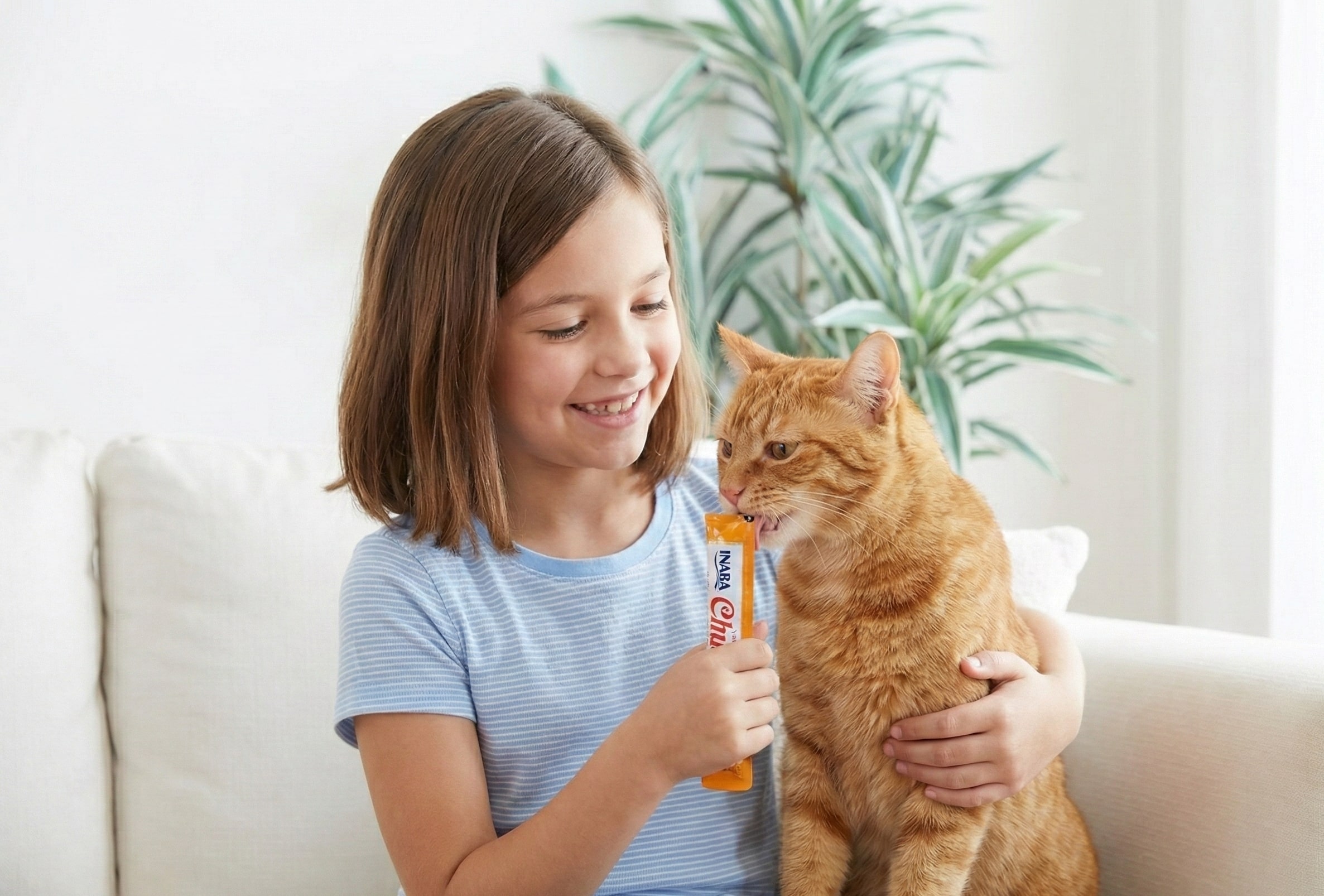 An orange tabby cat investigating a container of Inaba Churu Tuna & Chicken Varieties treats sitting on a hardwood floor in a bright, sunlit home setting.